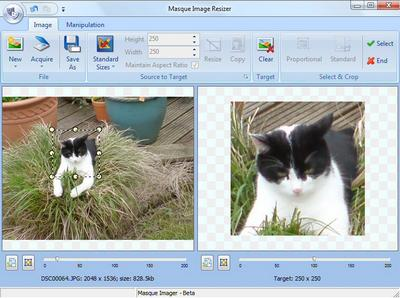 screenshot of masque Imager
